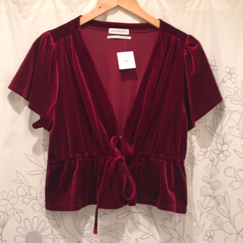 Velvet cropped top